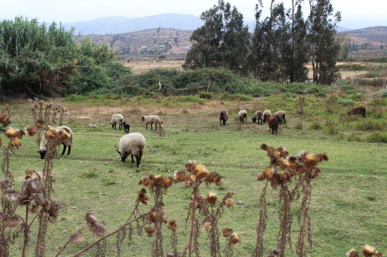 Hospedajes Tabolango Quillota Luaran gambar